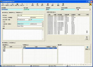 數字化浪潮下的會計軟件 從系統開發到企業應用的全面解析